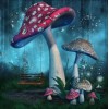 Mushroom World - Land of Fairies