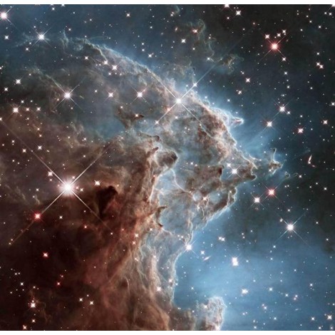 Monkey Head Nebula