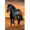 Black Horse Running in Desert