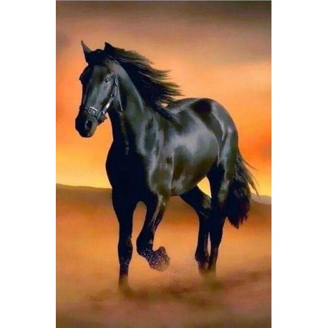 Black Horse Running in Desert