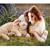 Sheep & Dog Friendship