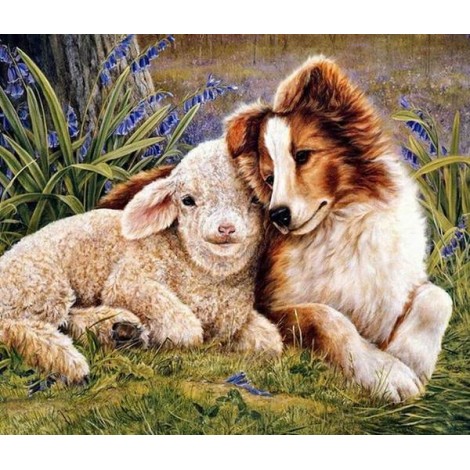 Sheep & Dog Friendship