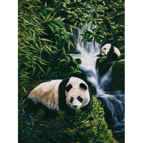 Panda Bears & Beautiful Waterfall