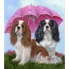 Spaniels Under Umbrella - Paint by Diamonds