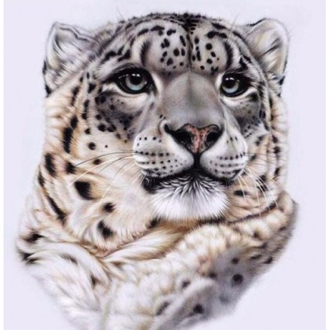 Snow Leopard Face Diamond Painting