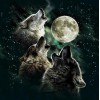 Pack of Howling Wolves