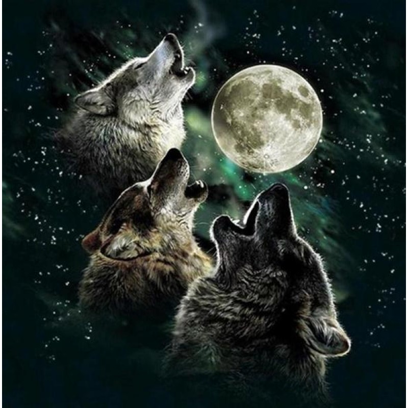 Pack of Howling Wolv...