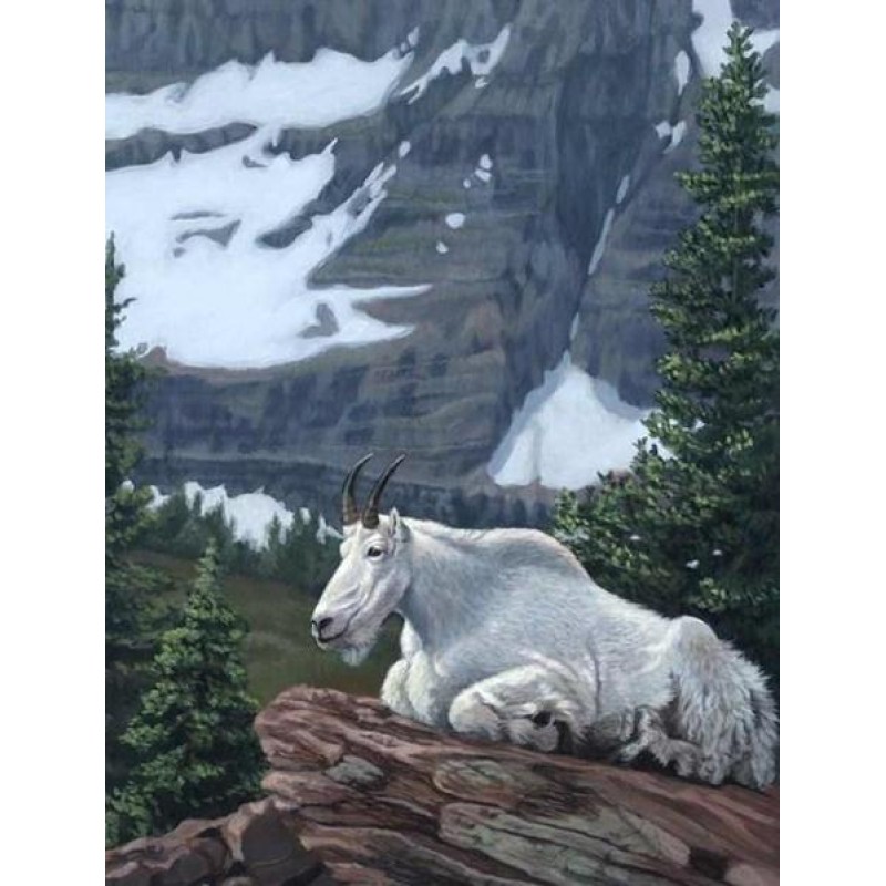 Mountain Goat - Diam...