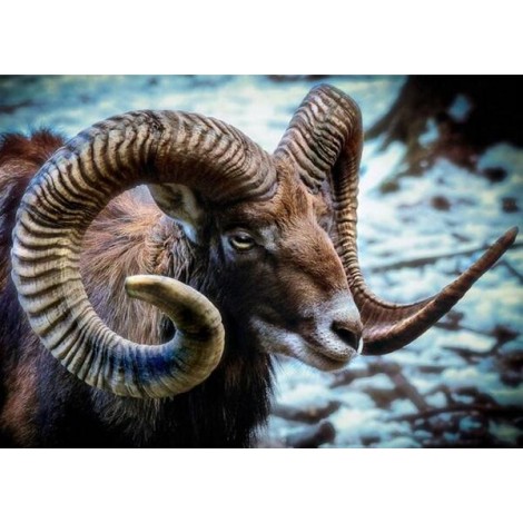 Mouflon Wild Sheep Diamond Painting