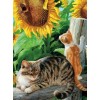 Sunflowers & Cats Diamond Painting