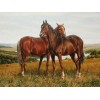 Sorrel Horses - Paint by Diamonds