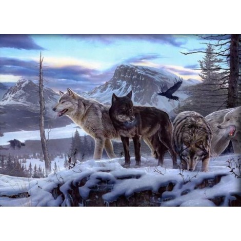 Northern Rocky Mountain wolves