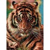 Staggering Tiger Diamond Painting Kit