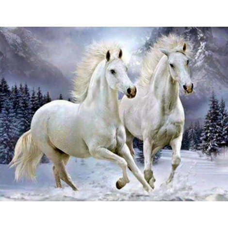 Pair of White Horses Diamond Painting