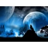 Night Wolf Diamond Painting Kit