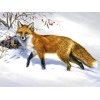 Snow Fox Diamond Painting Kit