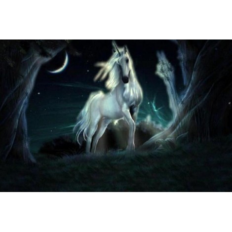 Night Sky & Stunning Unicorn