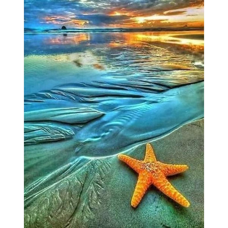 Star Fish - Paint by...