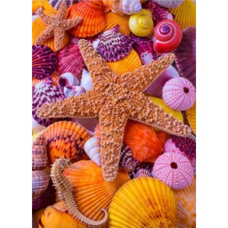 Star Fish Among Sea Shells