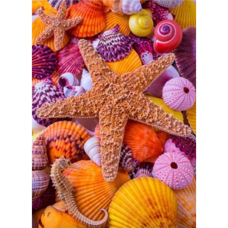 Star Fish Among Sea ...