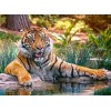 Sumatran Tiger Diamond Painting