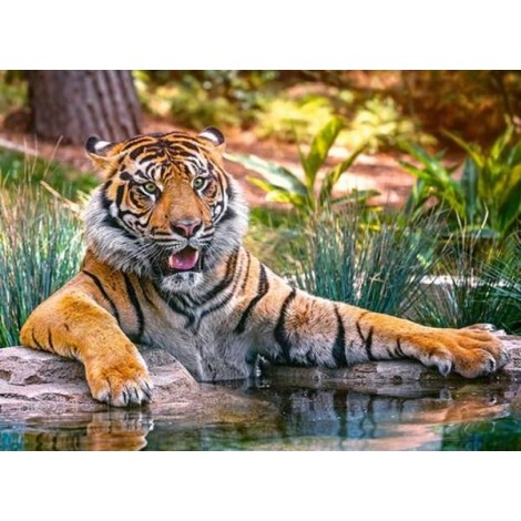 Sumatran Tiger Diamond Painting