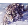 Snow Leopard Painting Kit