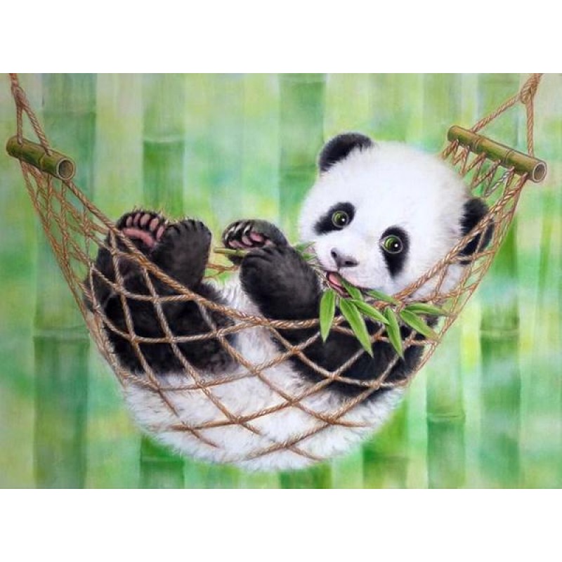 Panda Resting on Ham...