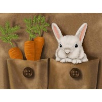 Rabbit and Carrots DIY Di...
