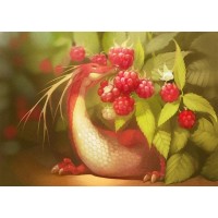 Raspberries & little ...