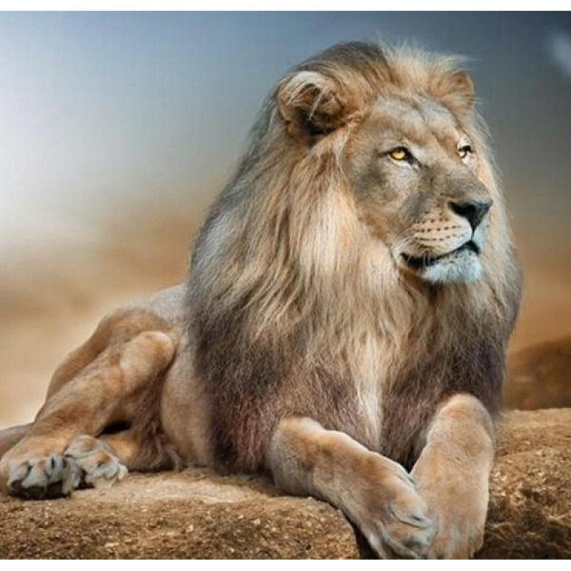 Stunning Lion Diamon...