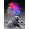 Elephant Spraying Colors DIY Diamond Painting