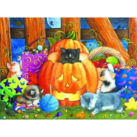 Cats & Pumpkin - Halloween