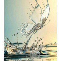 Water Butterfly Painting ...