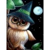 Owl Wearing Hat at Night