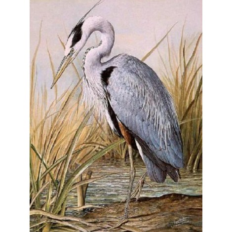 Great Blue Heron Diamond Painting