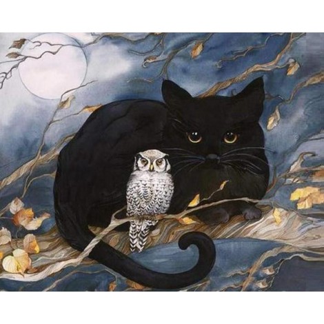 Black Cat & Owl Sitting on Tree