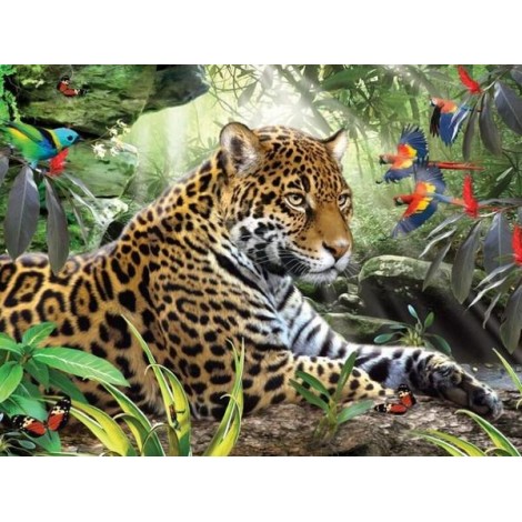 Leopard & African Parrots