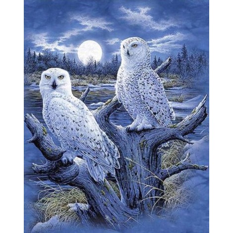 Snow Owls Pair Diamond Painting