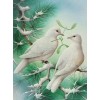 Pigeons Pair - Paint by Diamonds