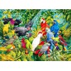 Parrots Kingdom - Diamond Painting Kit