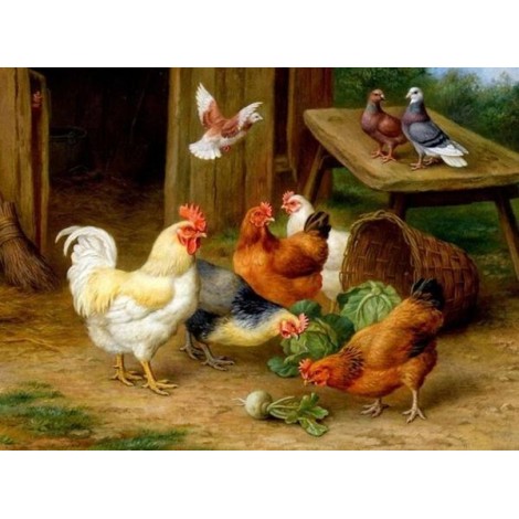 Chickens & Pigeons Diamond Painting