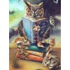 Owl Reading Book Diamond Painting kit