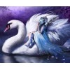 Giant Swan & Fairy Painting Kit