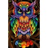 Colorful Owl DIY Painting Kit