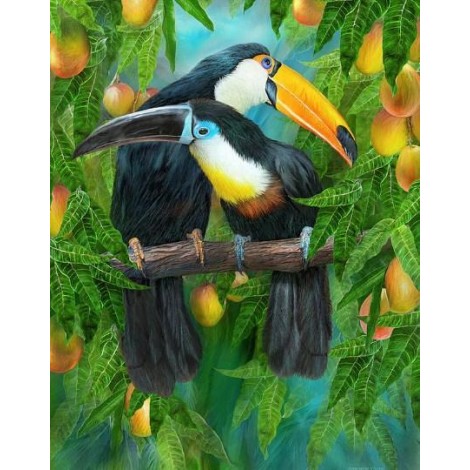 Tropic Spirits - Toucans