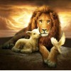 Lion, Lamb & Pigeon