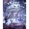 White Owl Painting