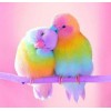 Sweet Birds Diamond Painting