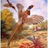 Pheasant Diamond Painting Kit